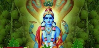आमलकी एकादशी 2026: आंवला वृक्ष में विराजते विष्णु और रंगों की पावन शुरुआत | जानिए पूरी जानकारी | 2YoDo विशेष Devotees worshipping Amla tree on Amalaki Ekadashi | आमलकी एकादशी पर आंवला वृक्ष की पूजा करते भक्त