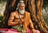 महर्षि याज्ञवल्क्य जयंती 2026: वेदों के प्रकाश से आलोकित एक अद्वितीय ब्रह्मज्ञानी की गाथा | जानिए पूरी जानकारी | 2YoDo विशेष Traditional painting of Sage Yajnavalkya teaching disciples | शिष्यों को उपदेश देते हुए महर्षि याज्ञवल्क्य का पारंपरिक चित्र