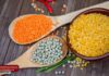 विश्व दलहन दिवस 2026: भूख, पोषण और पर्यावरण समाधान की कुंजी बनी दालें | जानिए पूरी जानकारी | 2YoDo विशेष Various types of pulses and legumes | विभिन्न प्रकार की दालें और फलियां